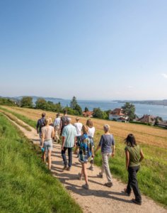 Buchinger Wilhelmi, Fasten, Heilfasten, Fasting, Health, Integrative Medicine, hiking, walking, exercise, movement, landscape, Lake Constance, Überlingen, Nature, View, daily programme