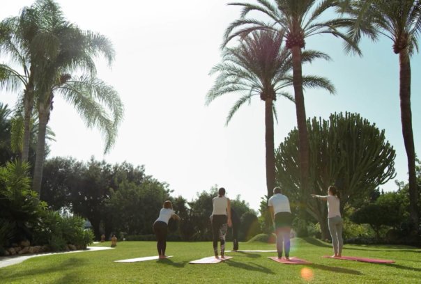 bw-video-yoga bw-video-yoga
